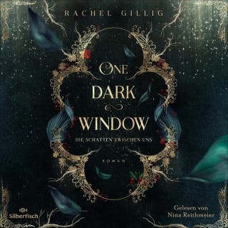 The Shepherd King 1: One Dark Window von Rachel Gillig, Hörbuch-Cover
